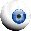 Visualiser la construction virtuelle - Beta